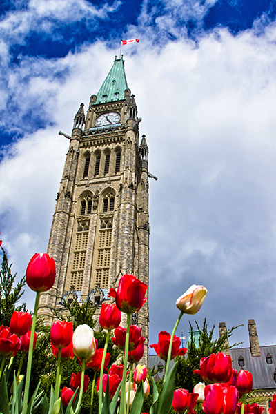 Parliament